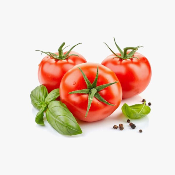 Fresh Tomatoes